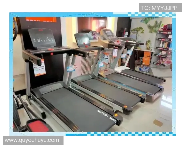 全面提升运动体验的体育器材销售网站为您提供优质产品与专业服务